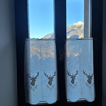 Con Vista Calalzo di Cadore